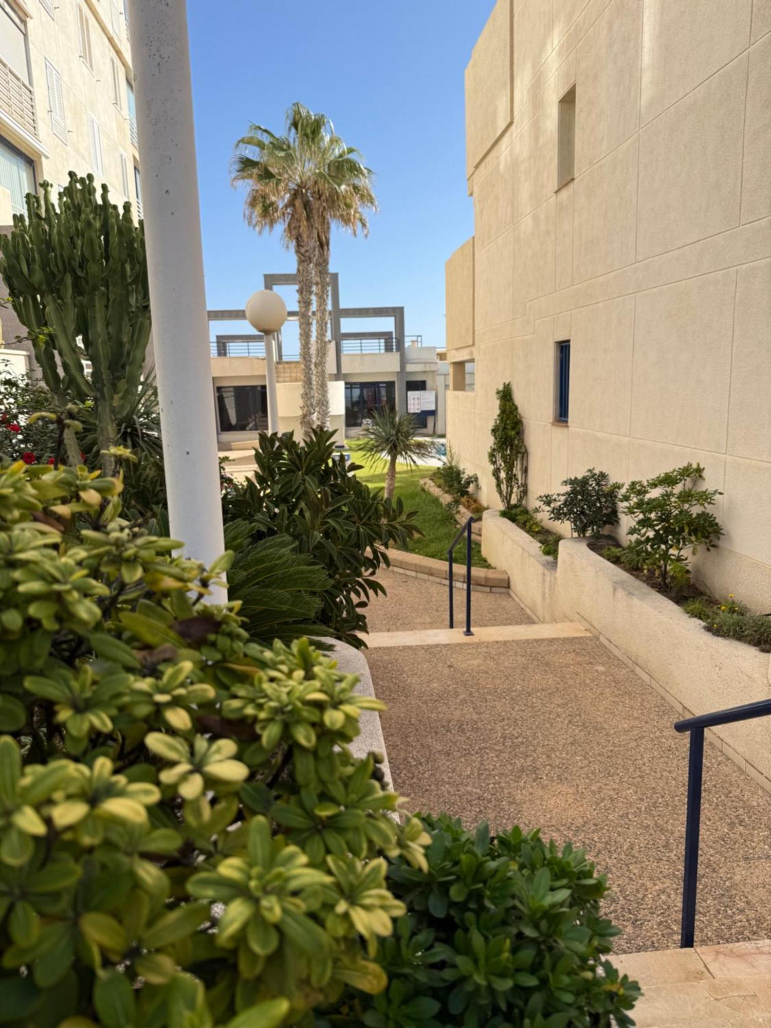 Torrevieja La Mata Primera Linea Playa Eksteriør bilde